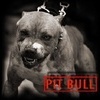 Pitbull12